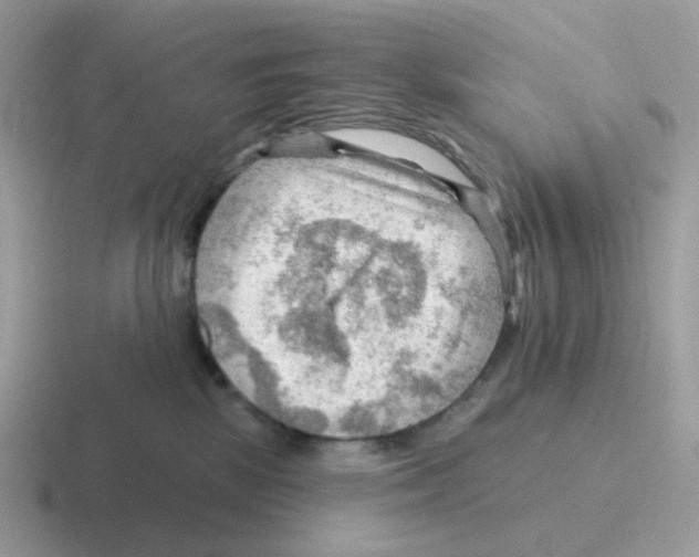 X0000116550281201001071122