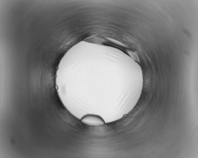 X0000116550282201001071122