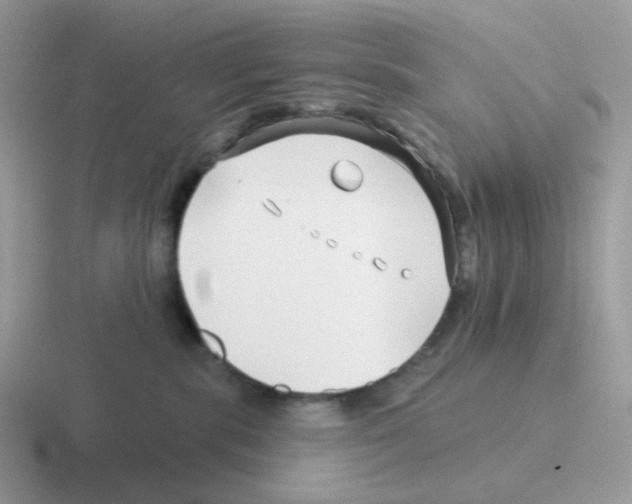 X0000116550283201001071122