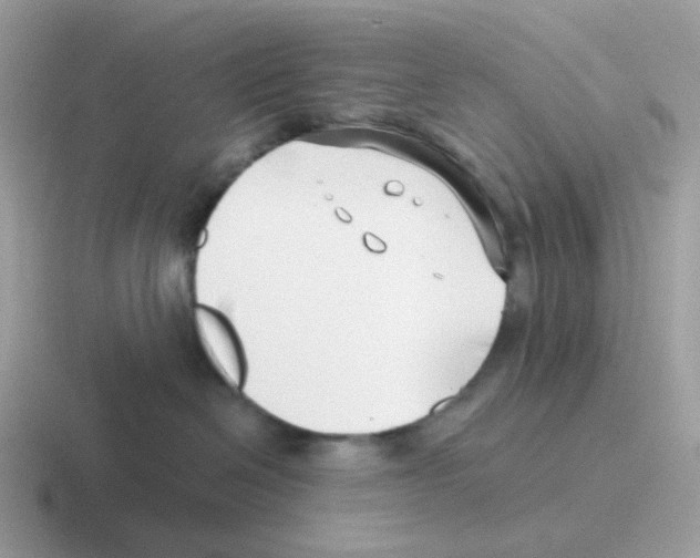 X0000116550286201001071122