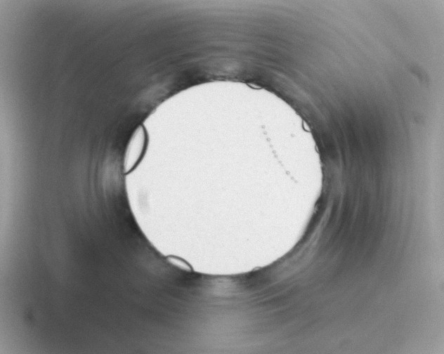 X0000116550287201001071122