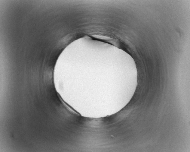 X0000116550288201001071122