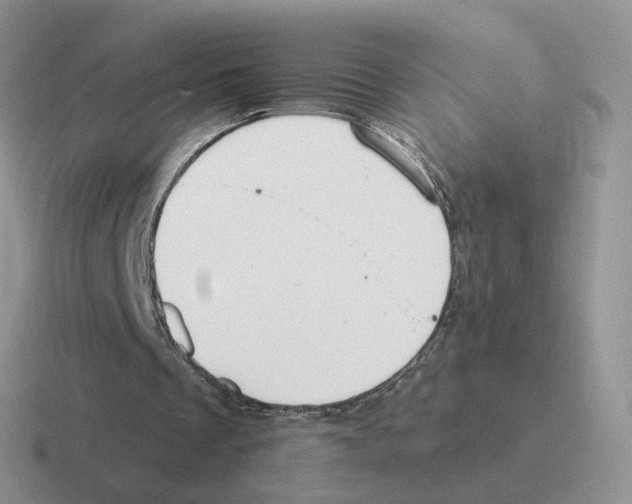 X0000116550289201001071121