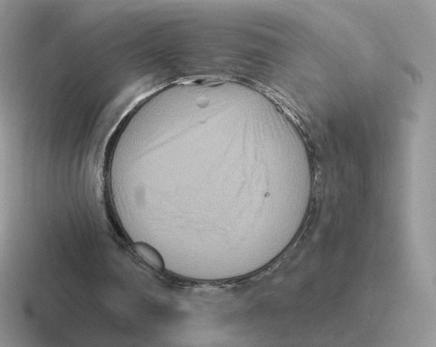 X0000116550290201001071121