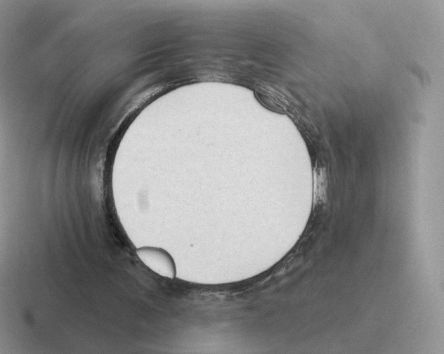 X0000116550291201001071121