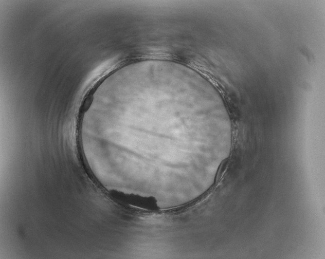 X0000116550293201001071121