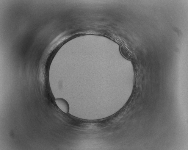 X0000116550295201001071121