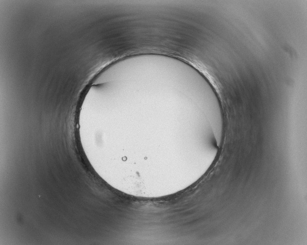 X0000116550297201001071121