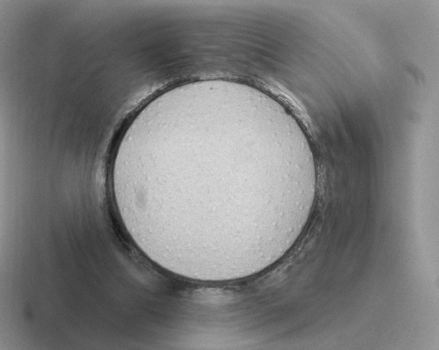 X0000116550298201001071121