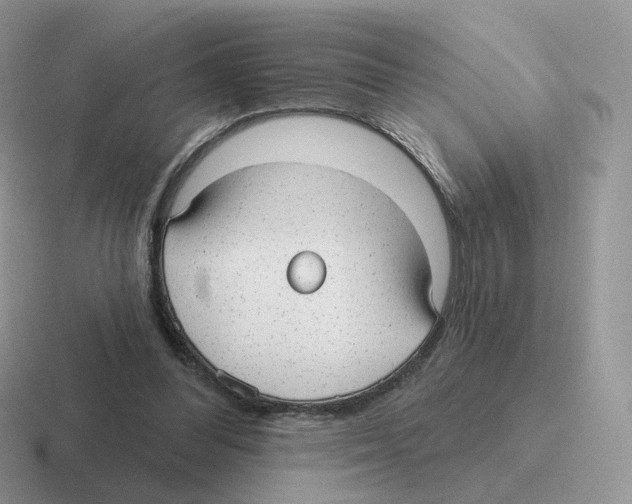 X0000116550300201001071121