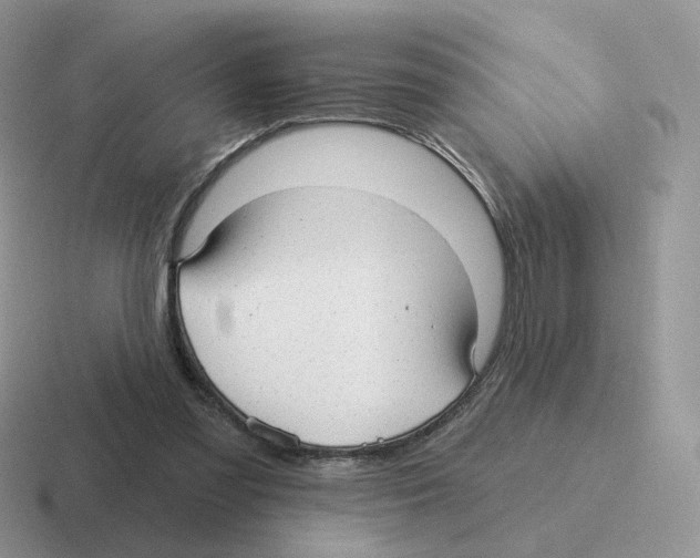 X0000116550301201001071121