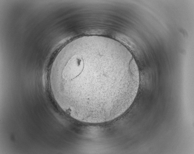 X0000116550302201001071121