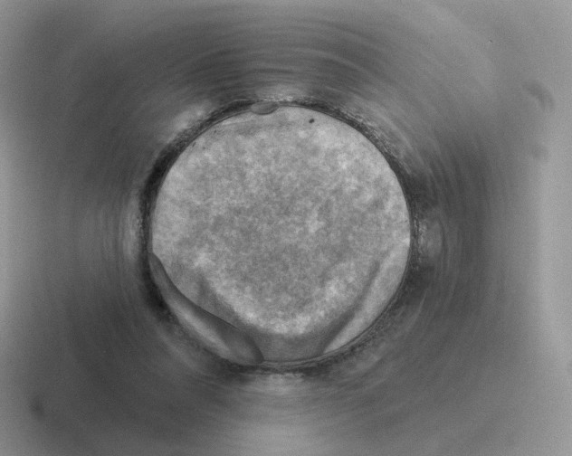 X0000116550304201001071121