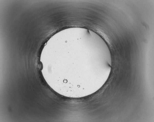 X0000116550305201001071121