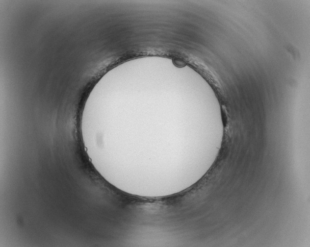 X0000116550306201001071121