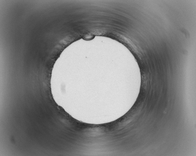 X0000116550307201001071121