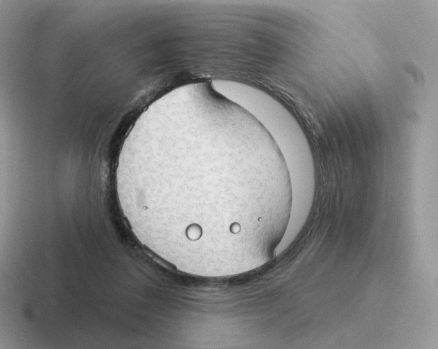 X0000116550308201001071121