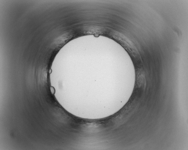 X0000116550310201001071121