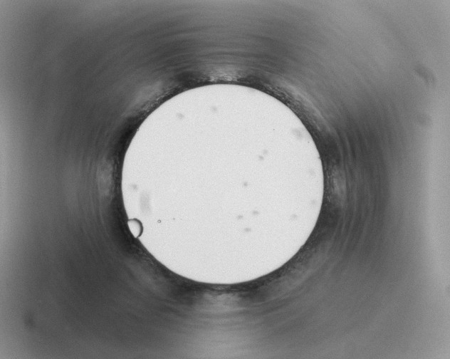 X0000116550311201001071121