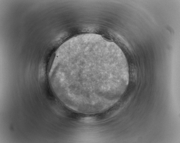 X0000116550312201001071121