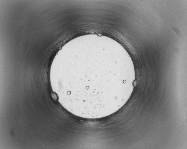 X0000116550313201001071121