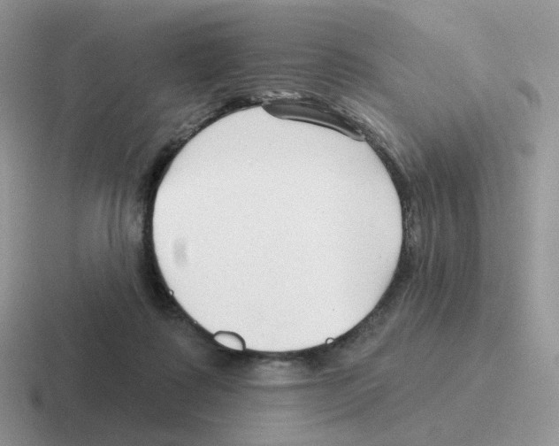 X0000116550315201001071121