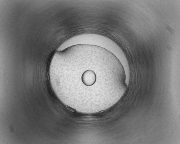 X0000116550316201001071121