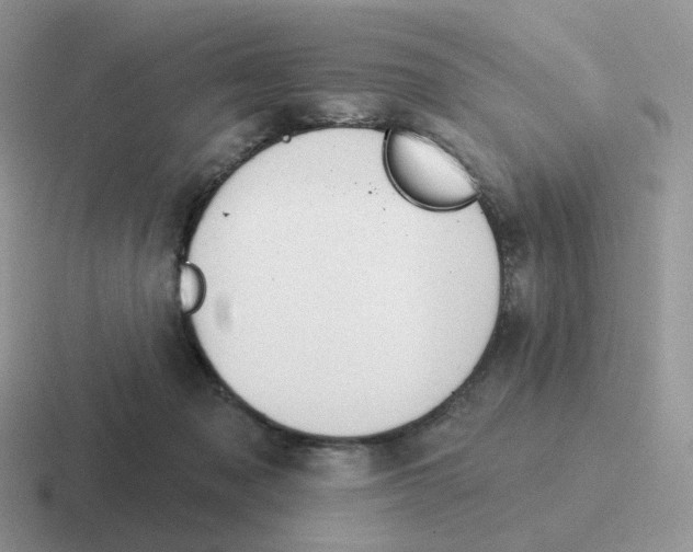 X0000116550317201001071121