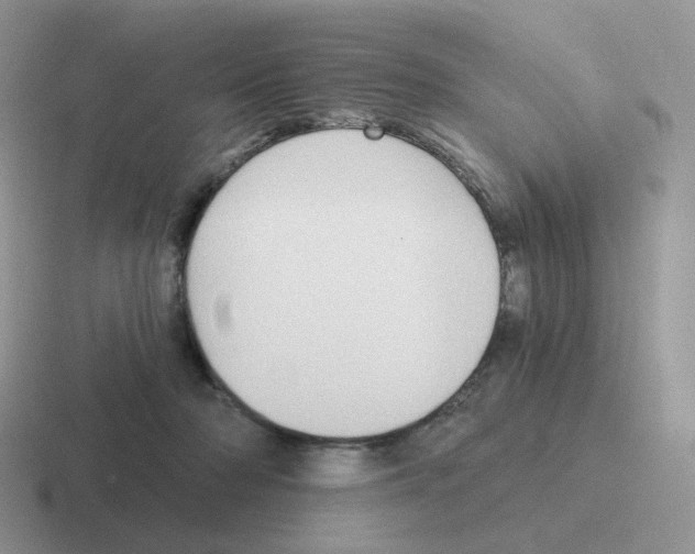 X0000116550318201001071121