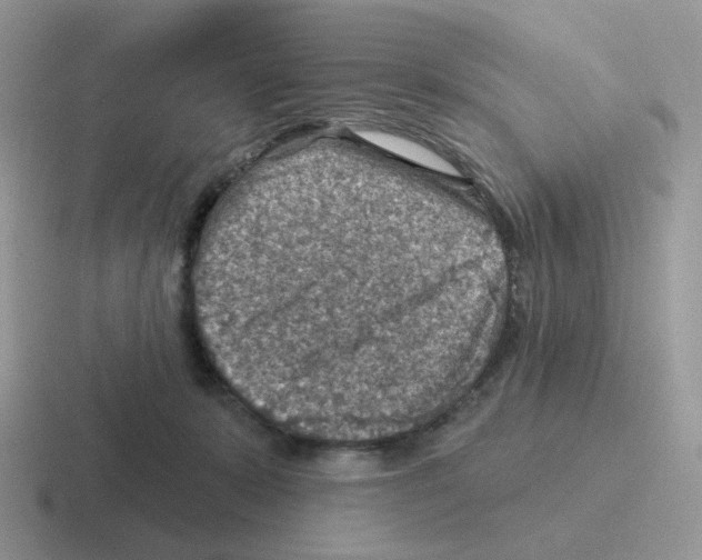 X0000116550319201001071121