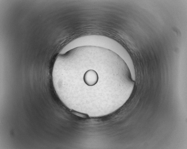 X0000116550320201001071121