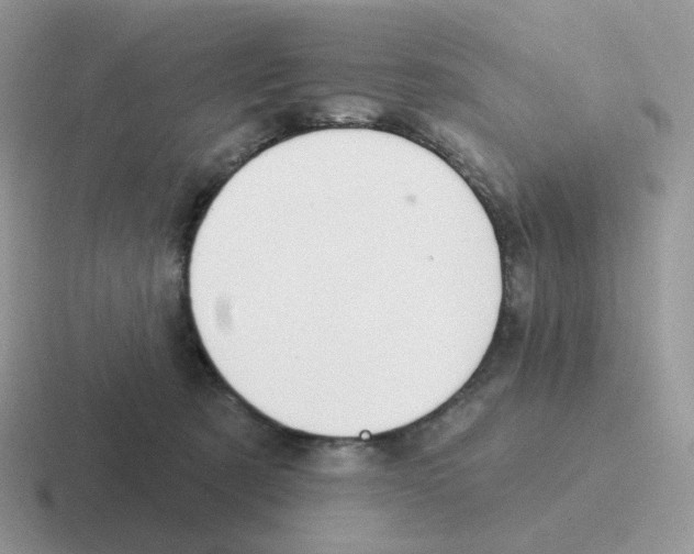 X0000116550321201001071121