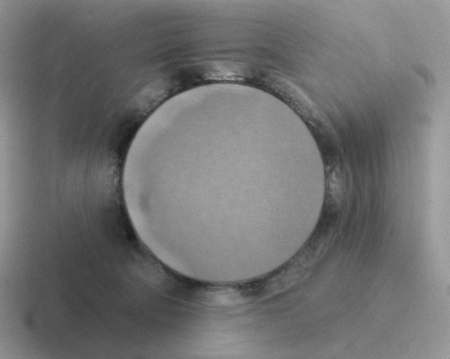 X0000116550322201001071121