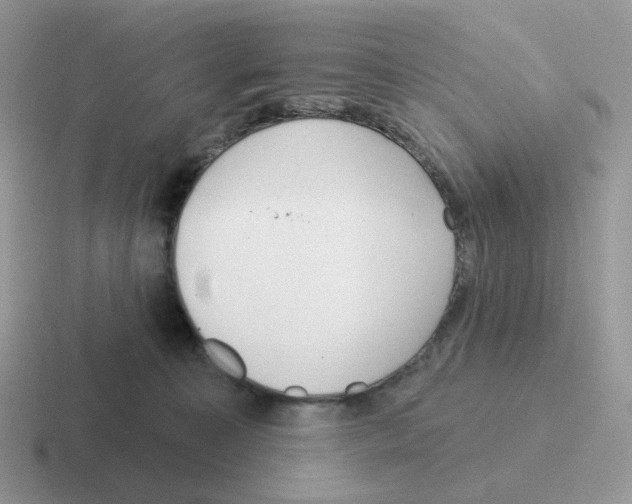 X0000116550323201001071121