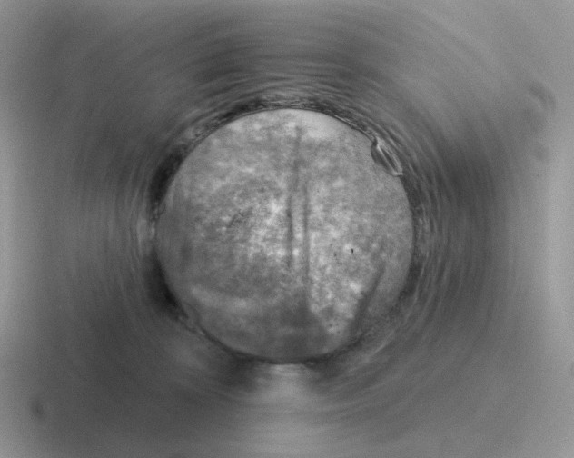 X0000116550324201001071121