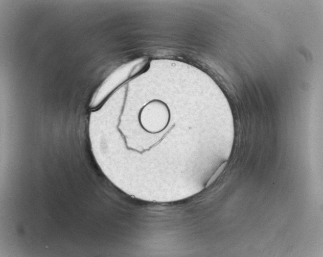 X0000116550325201001071121