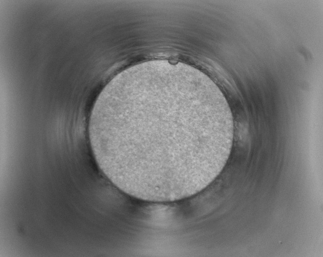 X0000116550326201001071121