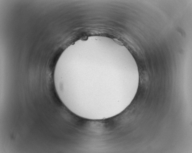 X0000116550327201001071121