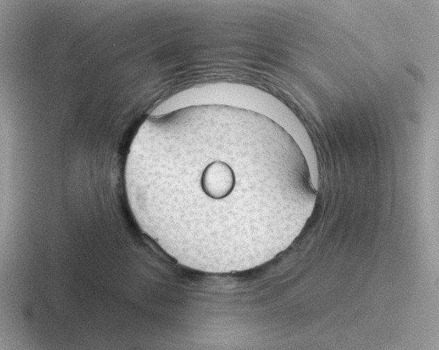 X0000116550328201001071121