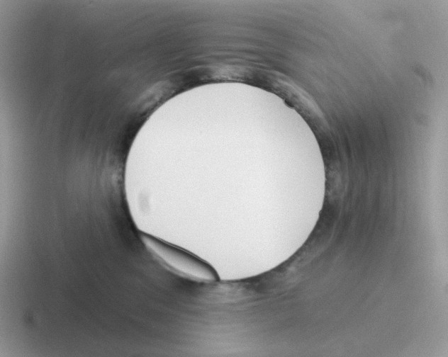 X0000116550329201001071121