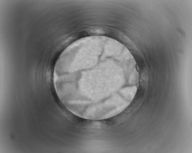 X0000116550330201001071121