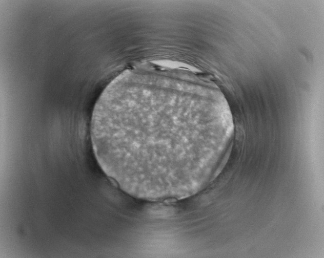 X0000116550331201001071121