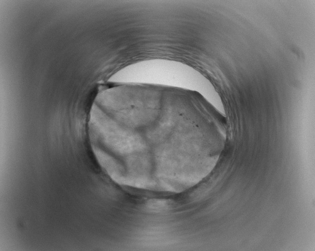 X0000116550332201001071121