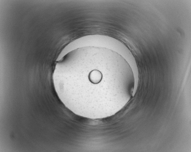 X0000116550333201001071121