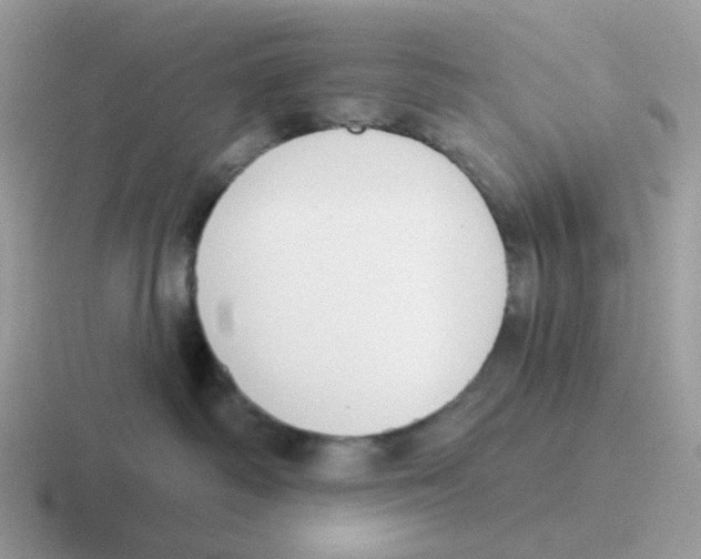 X0000116550334201001071120