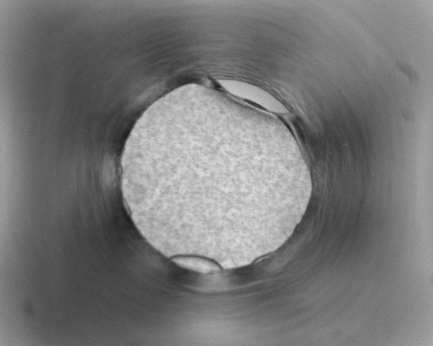 X0000116550335201001071120