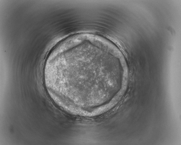 X0000116550337201001071120