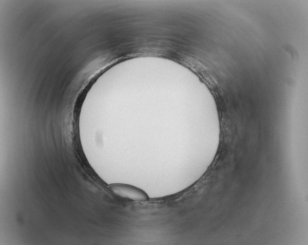 X0000116550338201001071120