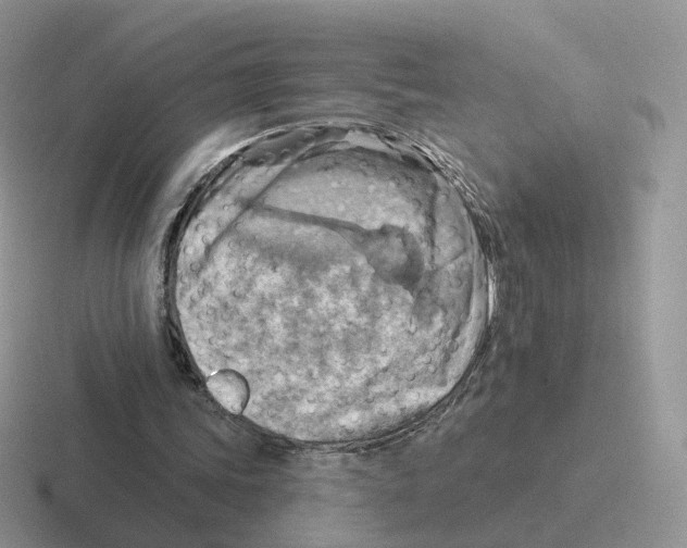 X0000116550339201001071120