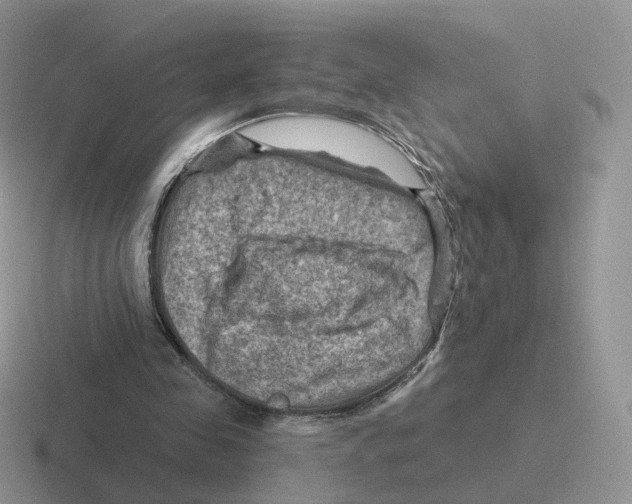 X0000116550341201001071120